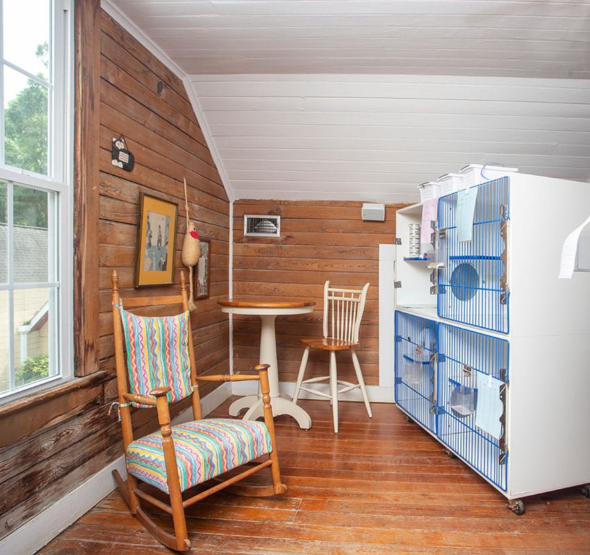 A cozy room features wooden paneled walls and floor. A colorful cushioned rocking chair sits near a window. A small table with two chairs is next to a large, multi-level pet cage, reminiscent of a veterinarian’s waiting room. Various decorations hang on the walls, adding a homely ambiance.