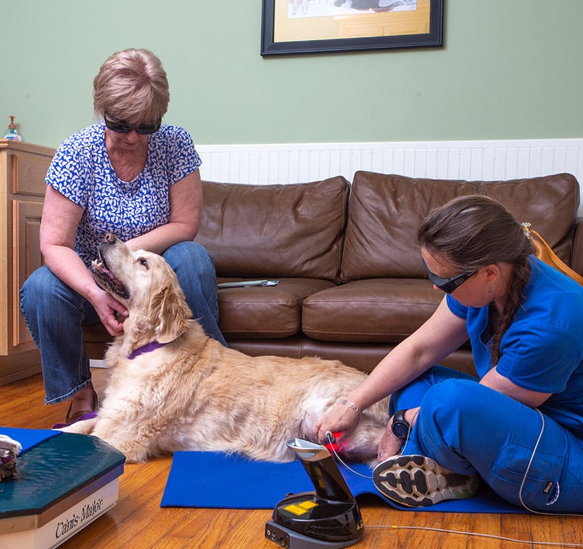 A dog receives a therapy treatment on its hind leg from a vet dressed in blue scrubs. The dog lies on a blue mat while a woman in a patterned shirt sits nearby, gently holding the dog's head. Both the veterinarian and the woman are wearing protective eyewear.